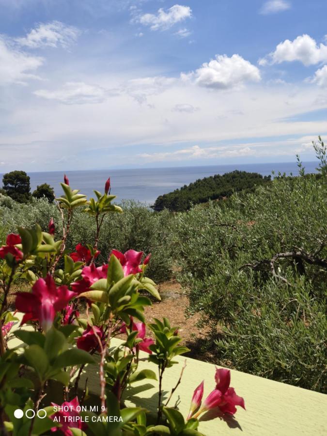 Elia House 1 Astoning Sea View Among The Olive Trees Lägenhet Patitírion Exteriör bild