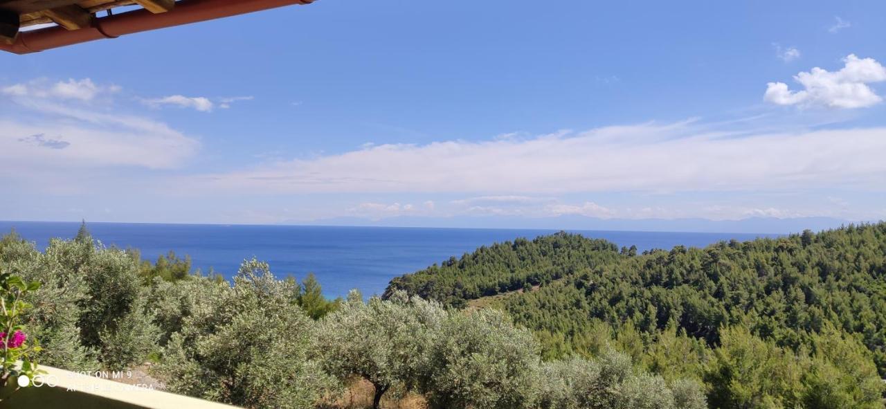 Elia House 1 Astoning Sea View Among The Olive Trees Lägenhet Patitírion Exteriör bild