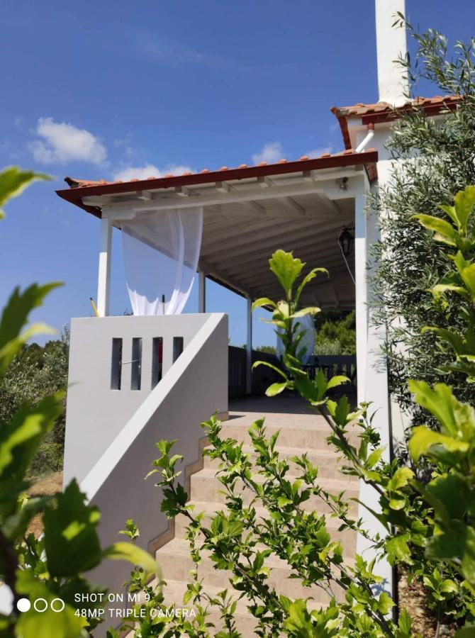 Elia House 1 Astoning Sea View Among The Olive Trees Lägenhet Patitírion Exteriör bild