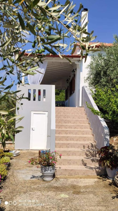 Elia House 1 Astoning Sea View Among The Olive Trees Lägenhet Patitírion Exteriör bild