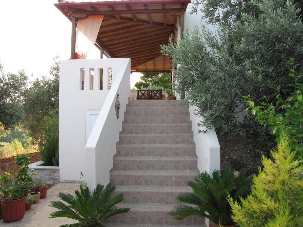 Elia House 1 Astoning Sea View Among The Olive Trees Lägenhet Patitírion Rum bild